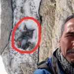 200 metre suruklendi ipte asili kaldi turk dagcinin son anlarina ait izler ortaya cikti nlsDmt2j